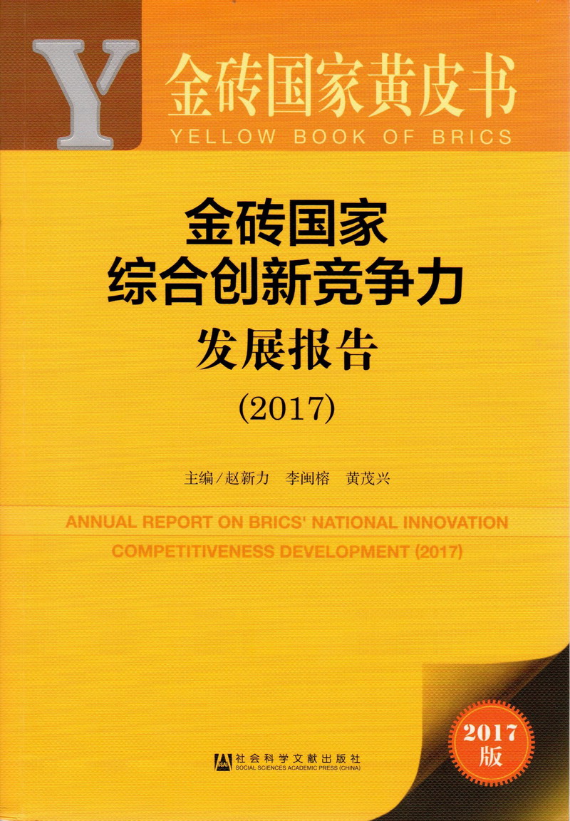 可以看的操逼视频网站金砖国家综合创新竞争力发展报告（2017）